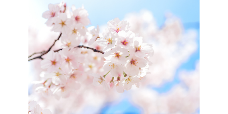 恋愛心理テスト